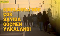 Kırklareli’nde Çok Sayıda Göçmen Yakalandı