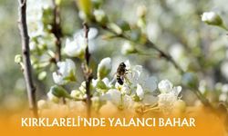 Kırklareli'nde Yalancı Bahar