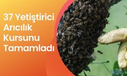 37 Yetiştirici Arıcılık Kursunu Tamamladı