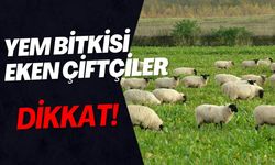 Yem Bitkisi Eken Çiftçiler Dikkat!