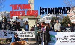 “Hayvana Şiddete Karşı İsyandayız”