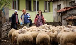 Veteriner Hekimler Her Koşulda Hayvanların Tedavisine Koşuyor