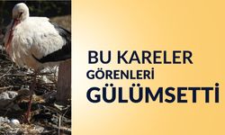 Bu Kareler Görenleri Gülümsetti