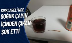 Soğuk Çayın İçinden Çıkan Şok Etti