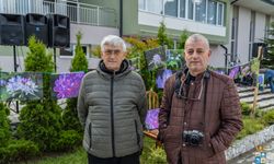 Zelenika Fotoğrafları Sergisi Komşuda İlgi Gördü