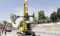 Ekipler Tarafından İtinayla Söküldü, Tekrar Dikildi