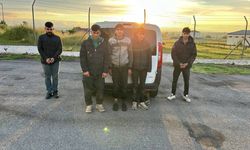 Kırklareli’nde 12 Düzensiz Göçmen Yakalandı