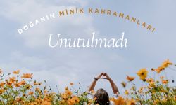 Doğanın Minik Kahramanları Unutulmadı