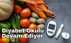 Diyabet Okulu Devam Ediyor