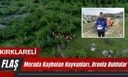 KIRKLARELİ; Merada Kaybolan Hayvanları, Dronla Buldular
