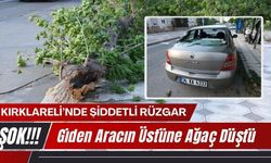 KIRKLARELİ; Giden Aracın Üstüne Ağaç Düştü