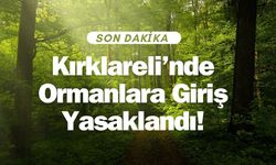 SON DAKİKA; Kırklareli’nde Ormanlara Giriş Yasaklandı!