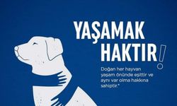 “Dünyaya Gelmiş Her Canlı İçin Yaşam Bir Haktır”