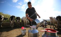Kayalı’da Süt Üretimi İki Kat Arttı