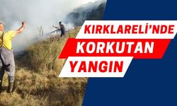 Kırklareli'nde Korkutan Yangın