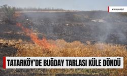 Tatarköy’de Buğday Tarlası Küle Döndü