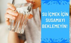 Su İçmek İçin Susamayı Beklemeyin!