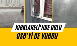 KIRKLARELİ’NDE DOLU OSB’Yİ DE VURDU