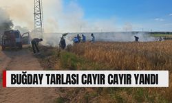 Buğday Tarlası Cayır Cayır Yandı