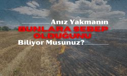 Anız Yakmanın Bunlara Sebep Olduğunu Biliyor Musunuz?