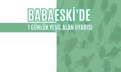 Babaeski'de 1 Günlük Yeşil Alan Uyarısı