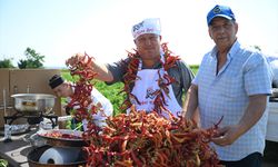 Edirne Tava Ciğerinin Lezzet Ortağı Karaağaç Acı Biberinde Hasat Mesaisi Başladı