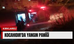 Kocahıdır'da Yangın Paniği