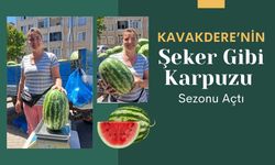 Kavakdere’nin Şeker Gibi Karpuzu Sezonu Açtı