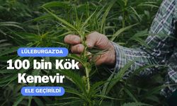 Lüleburgaz'da 100 bin Kök Kenevir Ele Geçirildi