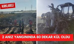 KIRKLARELİ; İki Anız Yangınında 80 Dekar Kül Oldu