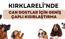 KIRKLARELİ; Can Dostlar İçin Geniş Çaplı Kısırlaştırma