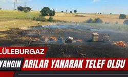 LÜLEBURGAZ; Arılar Yanarak Telef Oldu