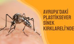 Avrupa’daki Plastiksever Sinek Kırklareli’nde