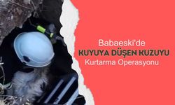 Babaeski'de Kuyuya Düşen Kuzuyu Kurtarma Operasyonu