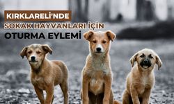 Kırklareli'nde Sokak Hayvanları İçin Oturma Eylemi