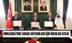 Kırklareli'nde Sokak Hayvanları İçin İmzalar Atıldı