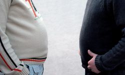 Obezite En Sık Bu Hastalıklara Yol Açıyor