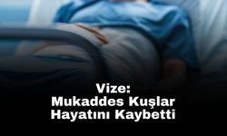 Vize: Mukaddes Kuşlar Hayatını Kaybetti