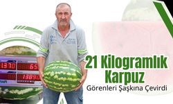 21 Kilogramlık Karpuz Görenleri Şaşkına Çevirdi