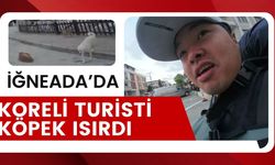 İĞNEADA; Koreli Turisti Köpek Isırdı