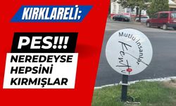 KIRKLARELİ; Pes! Neredeyse Hepsini Kırmışlar