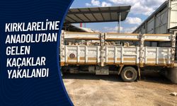 İlimizde Anadolu’dan Gelen Kaçaklar Yakalandı