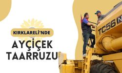 Kırklareli'nde Ayçiçek Taarruzu