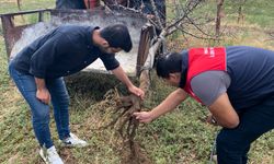 Kırklareli: Ağaçların Köklerine Bile Baktılar