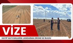 VİZE; Kayıp Hayvanlarını Jandarma Drone İle Buldu