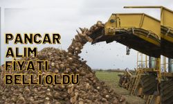 Pancar Alım Fiyatı Belli Oldu