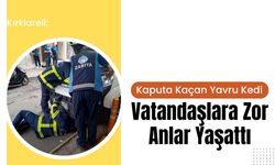 Kırklareli: Kaputa Kaçan Yavru Kedi Vatandaşlara Zor Anlar Yaşattı