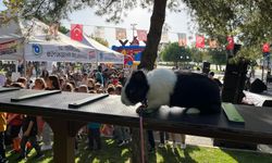 Pati Fest Etkinliğinde Buluştular