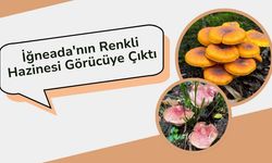 İğneada'nın Renkli Hazinesi Görücüye Çıktı