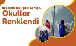 Babaeski'de Fırçalar Konuştu, Okullar Renklendi